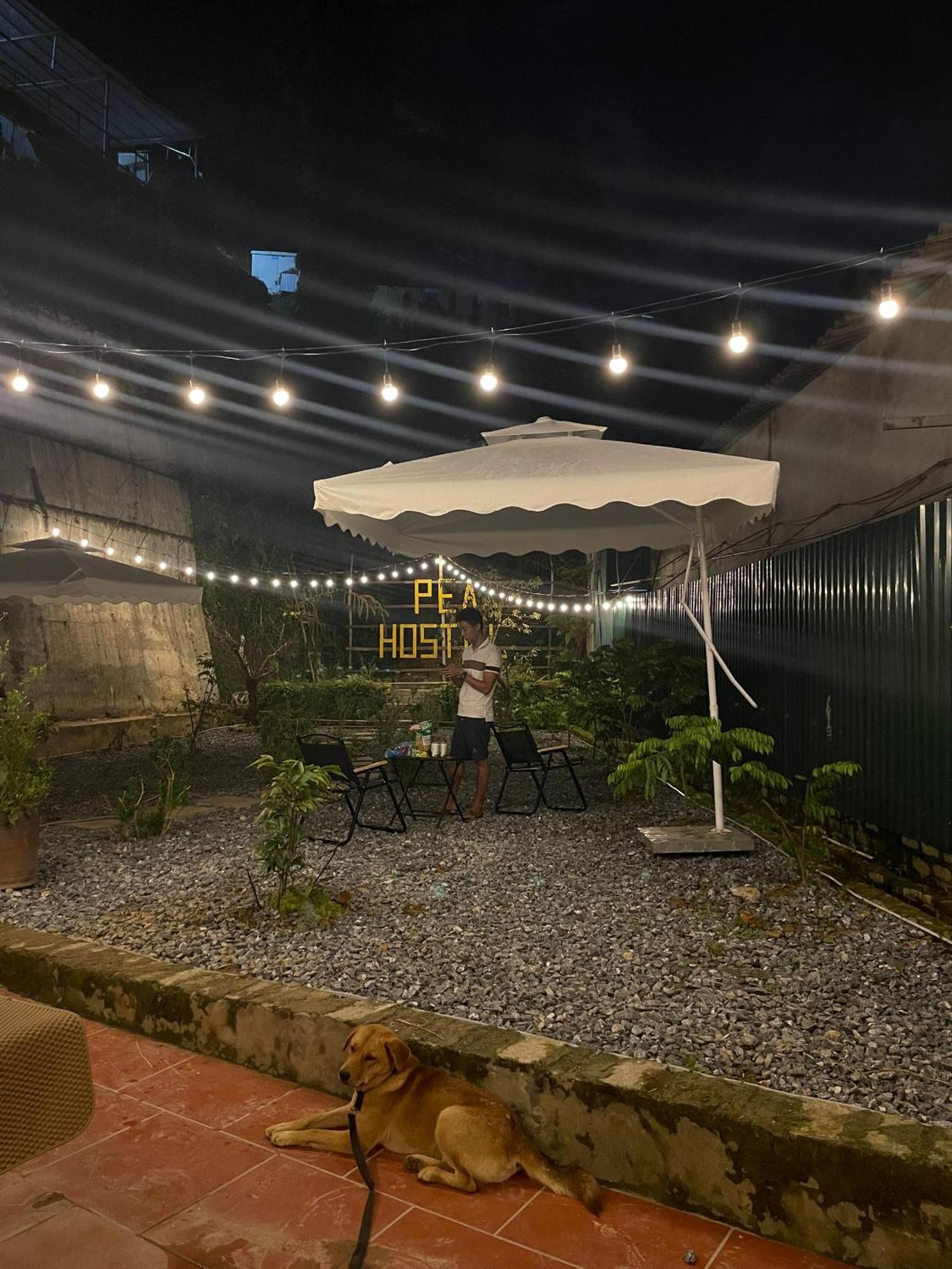 Pea Hostel Sapa Εξωτερικό φωτογραφία