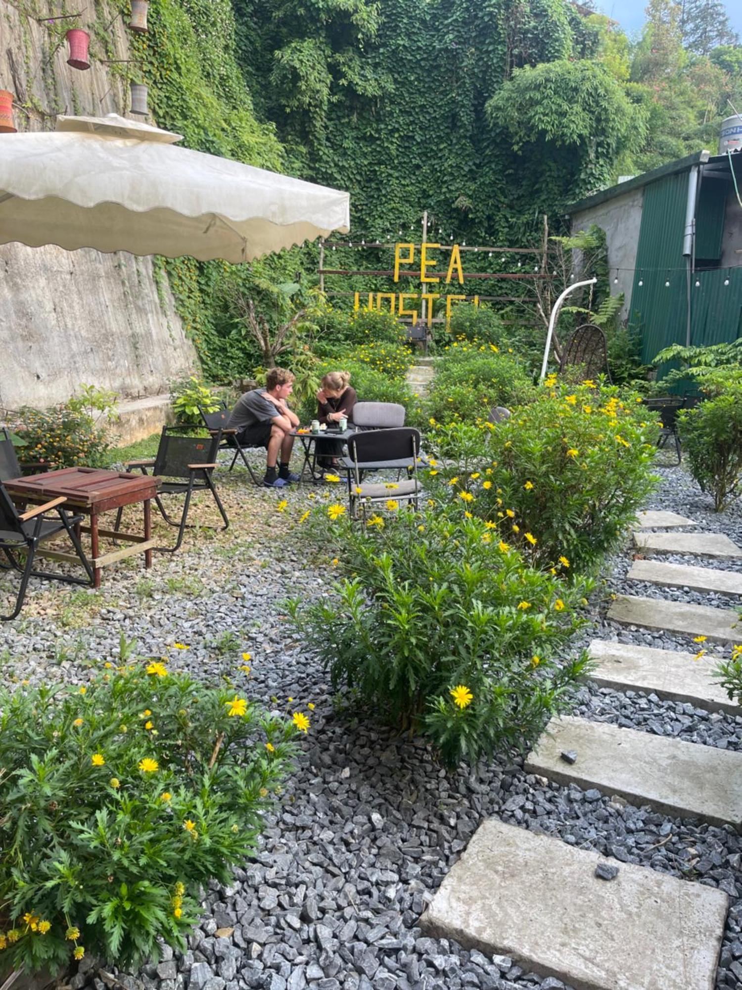Pea Hostel Sapa Εξωτερικό φωτογραφία